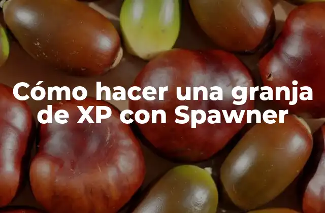 Cómo Hacer una Granja de Xp con Spawner