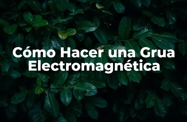 Cómo Hacer una Grua Electromagnética