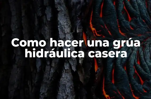 Como Hacer una Grúa Hidráulica Casera