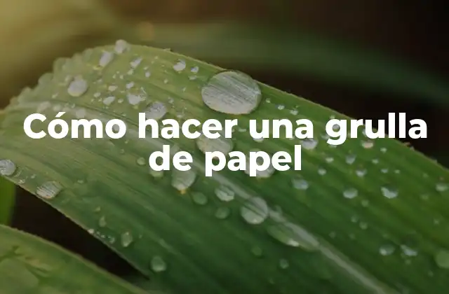 Cómo Hacer una Grulla de Papel