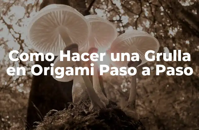 ¿Qué es el Origami y para qué Sirve?
