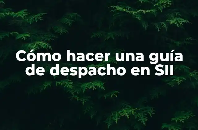 Cómo Hacer una Guía de Despacho en Sii