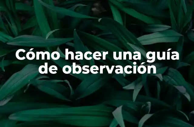 Cómo Hacer una Guía de Observación