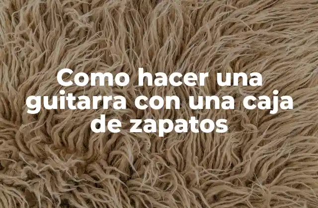 Como Hacer una Guitarra con una Caja de Zapatos