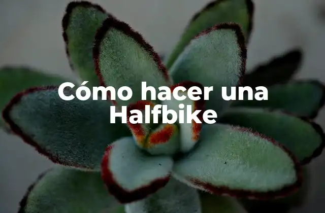 Cómo Hacer una Halfbike
