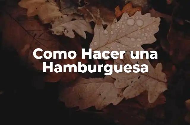 ¿Qué es una Hamburguesa y para Qué Sirve?