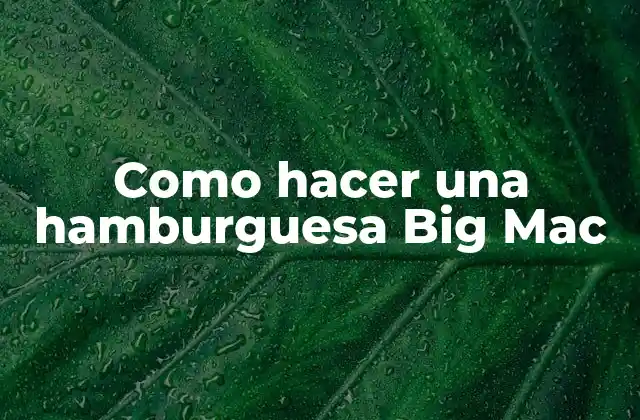Como Hacer una Hamburguesa Big Mac