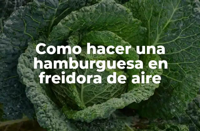 Como Hacer una Hamburguesa en Freidora de Aire