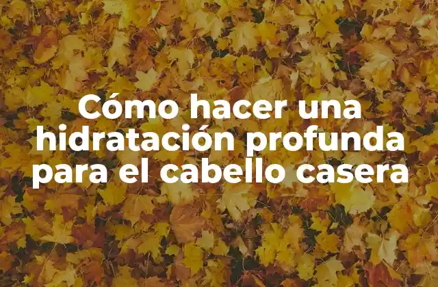 Cómo Hacer una Hidratación Profunda para el Cabello Casera 2 ¿Qué es una hidratación profunda para el cabello y cómo funciona?