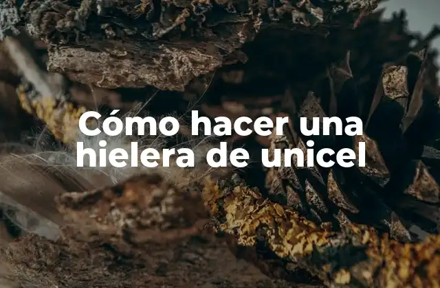 Cómo Hacer una Hielera de Unicel 2 ¿Qué es una hielera de unicel y para qué sirve?