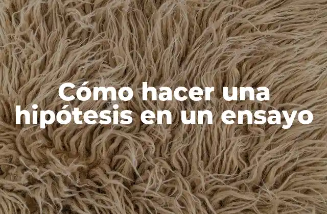 Cómo Hacer una Hipótesis en un Ensayo