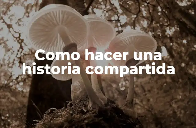 ¿Qué es una historia compartida?