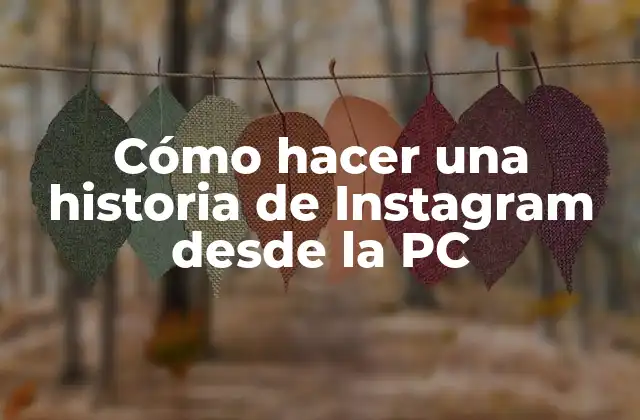 Cómo Hacer una Historia de Instagram desde la Pc