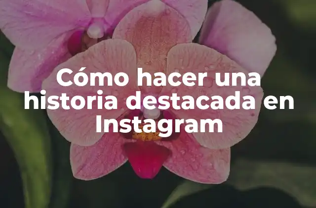 Cómo Hacer una Historia Destacada en Instagram