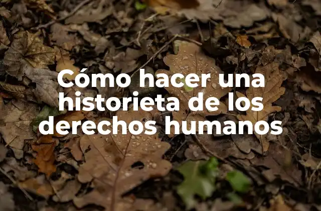 Cómo hacer una historieta de los derechos humanos