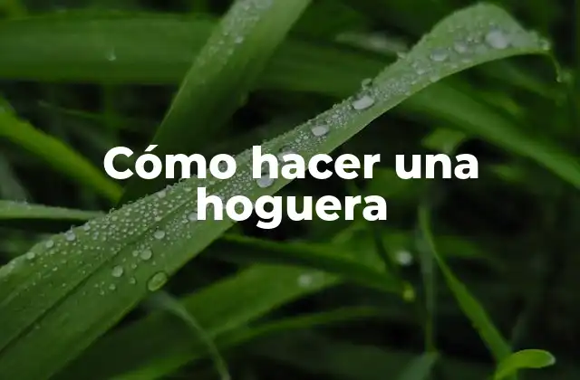 Cómo Hacer una Hoguera