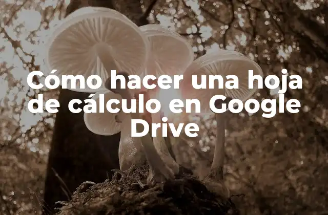 Cómo Hacer una Hoja de Cálculo en Google Drive