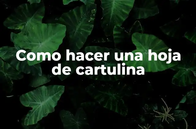 Como Hacer una Hoja de Cartulina