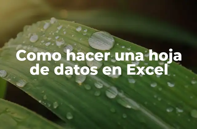 ¿Qué es una hoja de datos en Excel y para qué sirve?