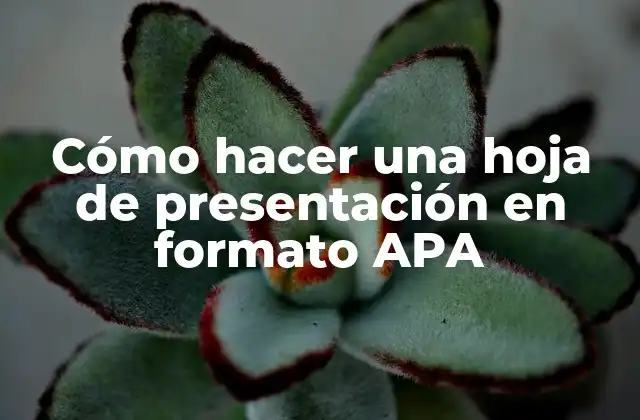 Cómo Hacer una Hoja de Presentación en Formato Apa