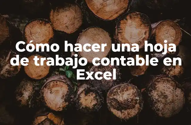Cómo Hacer una Hoja de Trabajo Contable en Excel