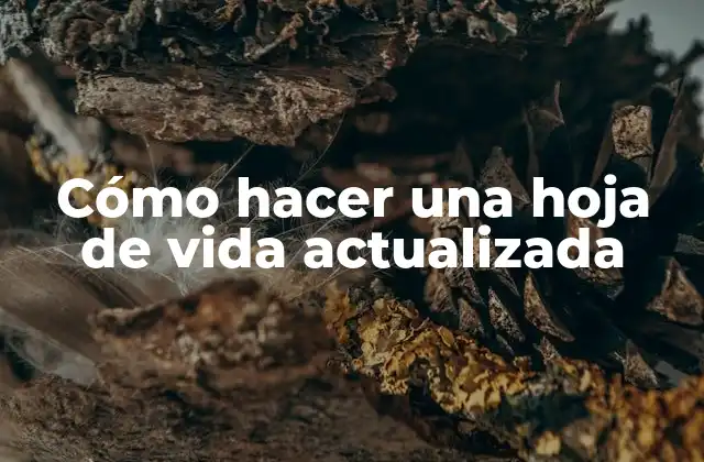 Cómo Hacer una Hoja de Vida Actualizada