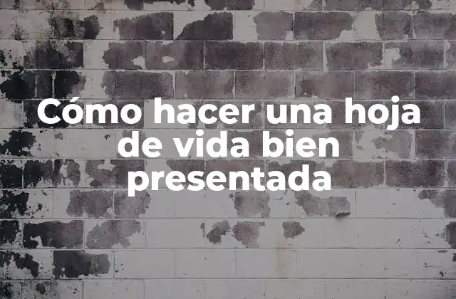Cómo Hacer una Hoja de Vida Bien Presentada