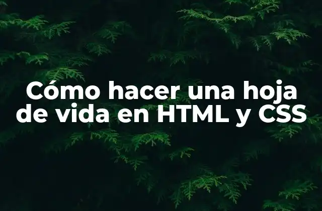 Cómo Hacer una Hoja de Vida en Html y Css 2 Cómo hacer una hoja de vida en HTML y CSS