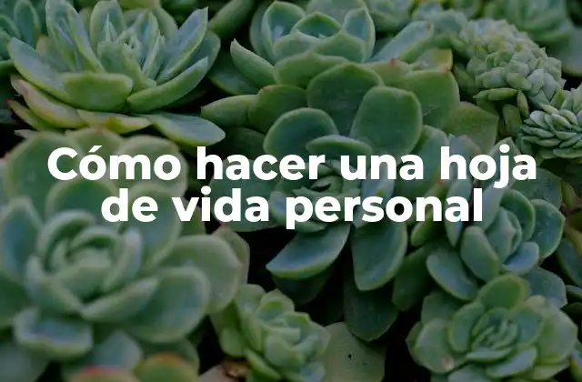 Cómo Hacer una Hoja de Vida Personal