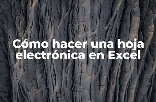 ¿Qué es una hoja electrónica en Excel?