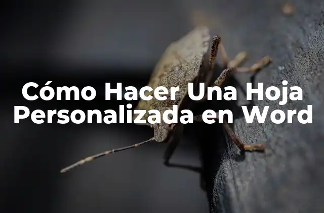 Cómo Hacer una Hoja Personalizada en Word