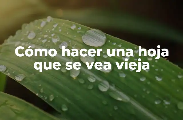 Cómo Hacer una Hoja que Se Vea Vieja