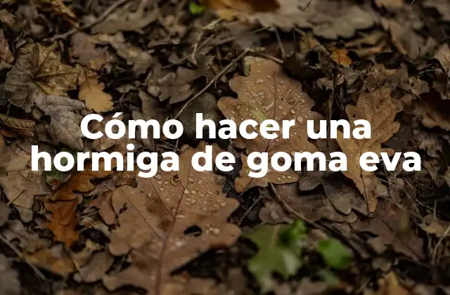 Cómo Hacer una Hormiga de Goma Eva