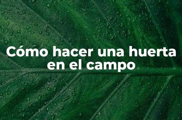 Cómo Hacer una Huerta en el Campo