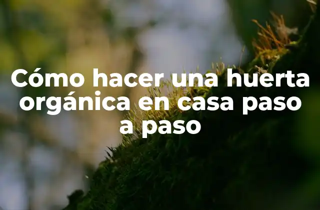 Cómo Hacer una Huerta Orgánica en Casa Paso a Paso