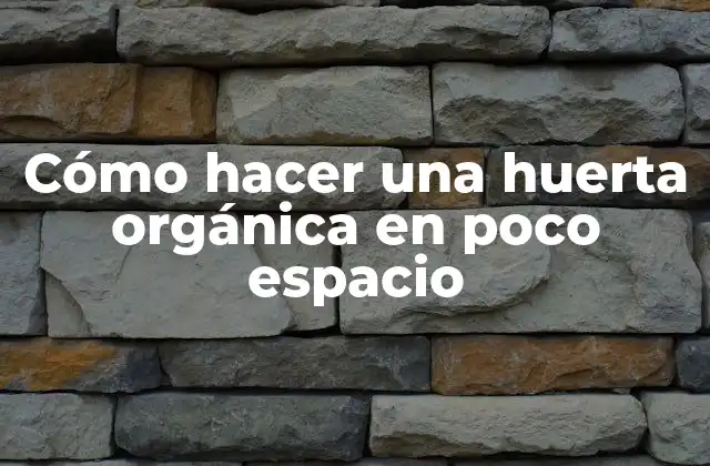 Cómo Hacer una Huerta Orgánica en Poco Espacio