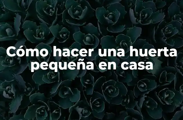 Cómo Hacer una Huerta Pequeña en Casa