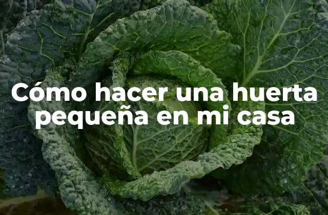 Cómo Hacer una Huerta Pequeña en Mi Casa