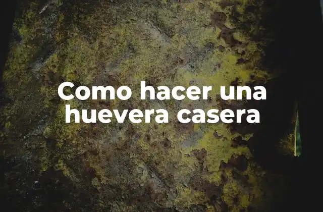 Como Hacer una Huevera Casera