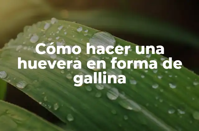 Cómo Hacer una Huevera en Forma de Gallina