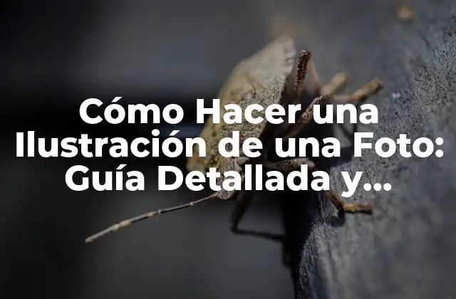 Cómo Hacer una Ilustración de una Foto: Guía Detallada y Completa