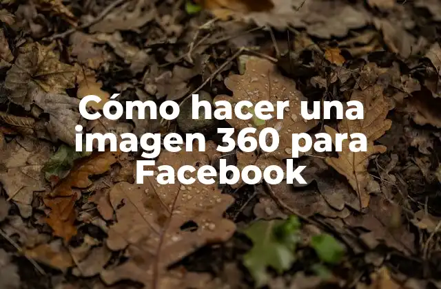 Cómo Hacer una Imagen 360 para Facebook