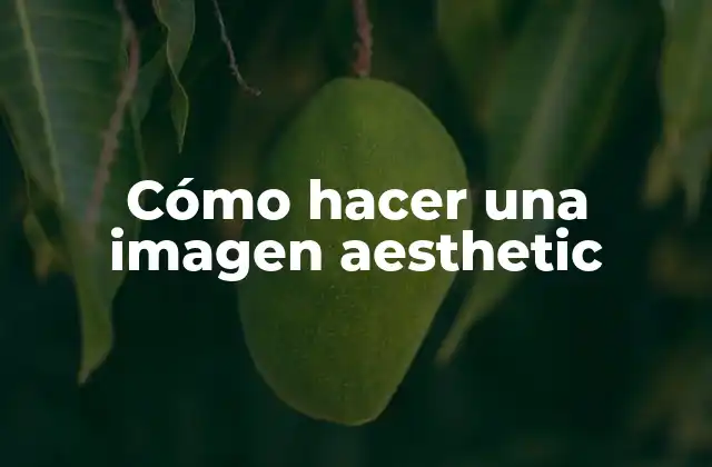 Cómo Hacer una Imagen Aesthetic