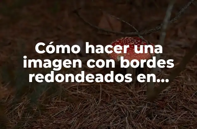 Cómo Hacer una Imagen con Bordes Redondeados en Photoshop 2 Cómo hacer una imagen con bordes redondeados en Photoshop