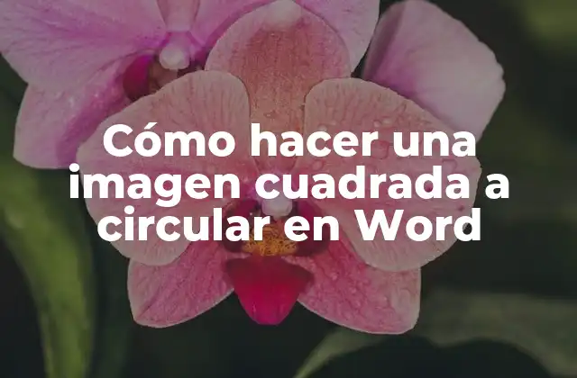 Cómo Hacer una Imagen Cuadrada a Circular en Word
