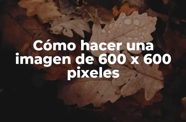 Cómo Hacer una Imagen de 600 X 600 Pixeles