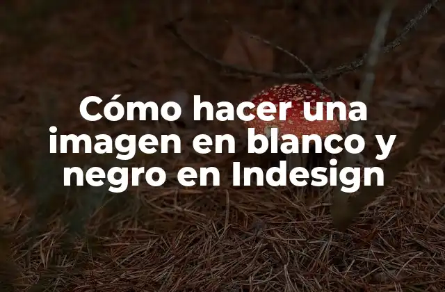 Cómo Hacer una Imagen en Blanco y Negro en Indesign