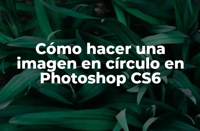 Cómo Hacer una Imagen en Círculo en Photoshop Cs6