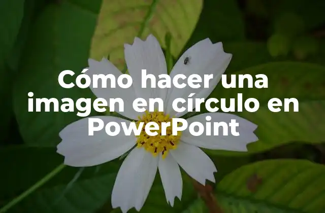 Cómo Hacer una Imagen en Círculo en Powerpoint