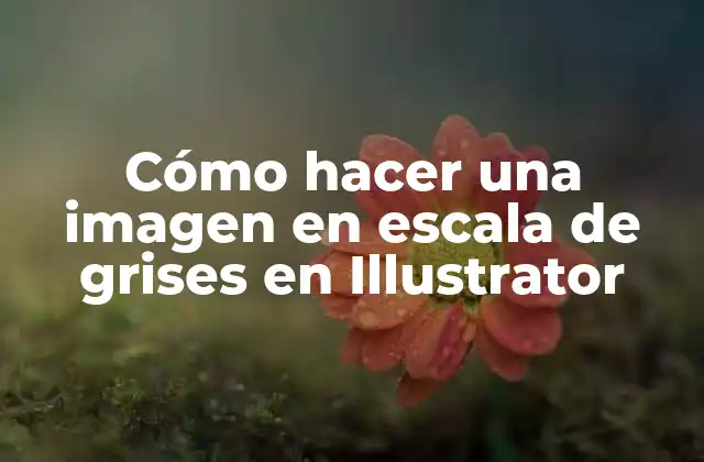 Cómo Hacer una Imagen en Escala de Grises en Illustrator
